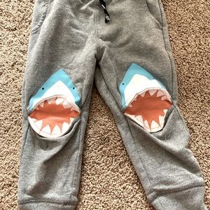 2T/ 18-24 month Boys sweatpants